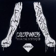 Fuck the system - system, von